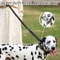 Reflective Tactical Bungee Dog Leash With Car Seatbelt Clip For Large Dogs 3