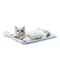 Sunny Window Cat Hammock Bed With Strong Suction Mount 3