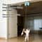 Smart Hanging Door Feather Cat Toy With Auto Swing Ropes 2
