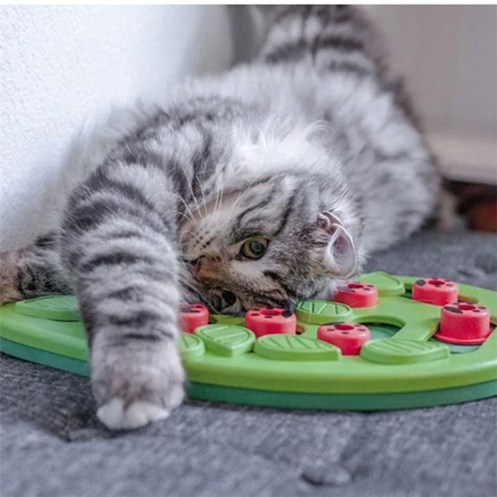 Rainy Day Interactive Cat Treat Puzzle Scratch Board Toy 6