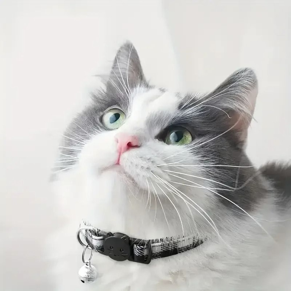 Personalized Plaid Breakaway Cat Collar With Bell ID Tag 4