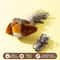 Interactive Chirping Bird Cat Toy With Catnip For Indoor Cats 8