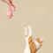Interactive Luminous Plush Mouse Cat Toy With Catnip 5