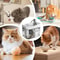 Automatic Cat Water Fountain With USB Circulating Filter System 2