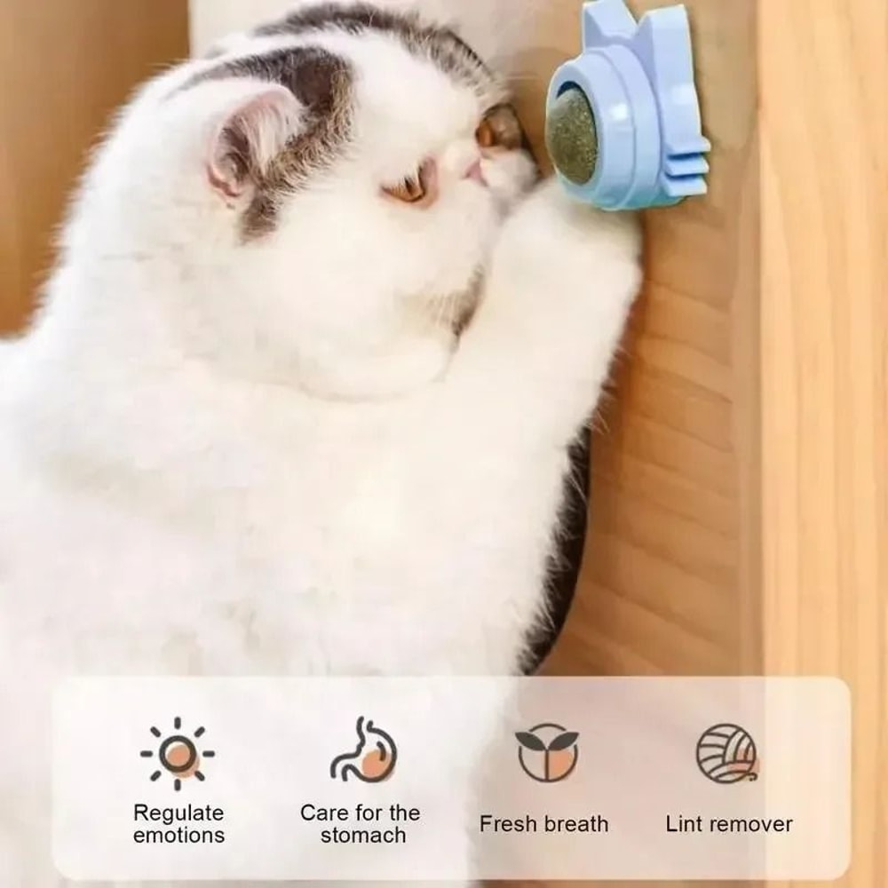 Natural Rotatable Catnip Wall Ball Toy For Cats 2