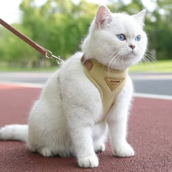 breathable cat harness and leash set for small pets | adjustable escape resistant kitten walking vest