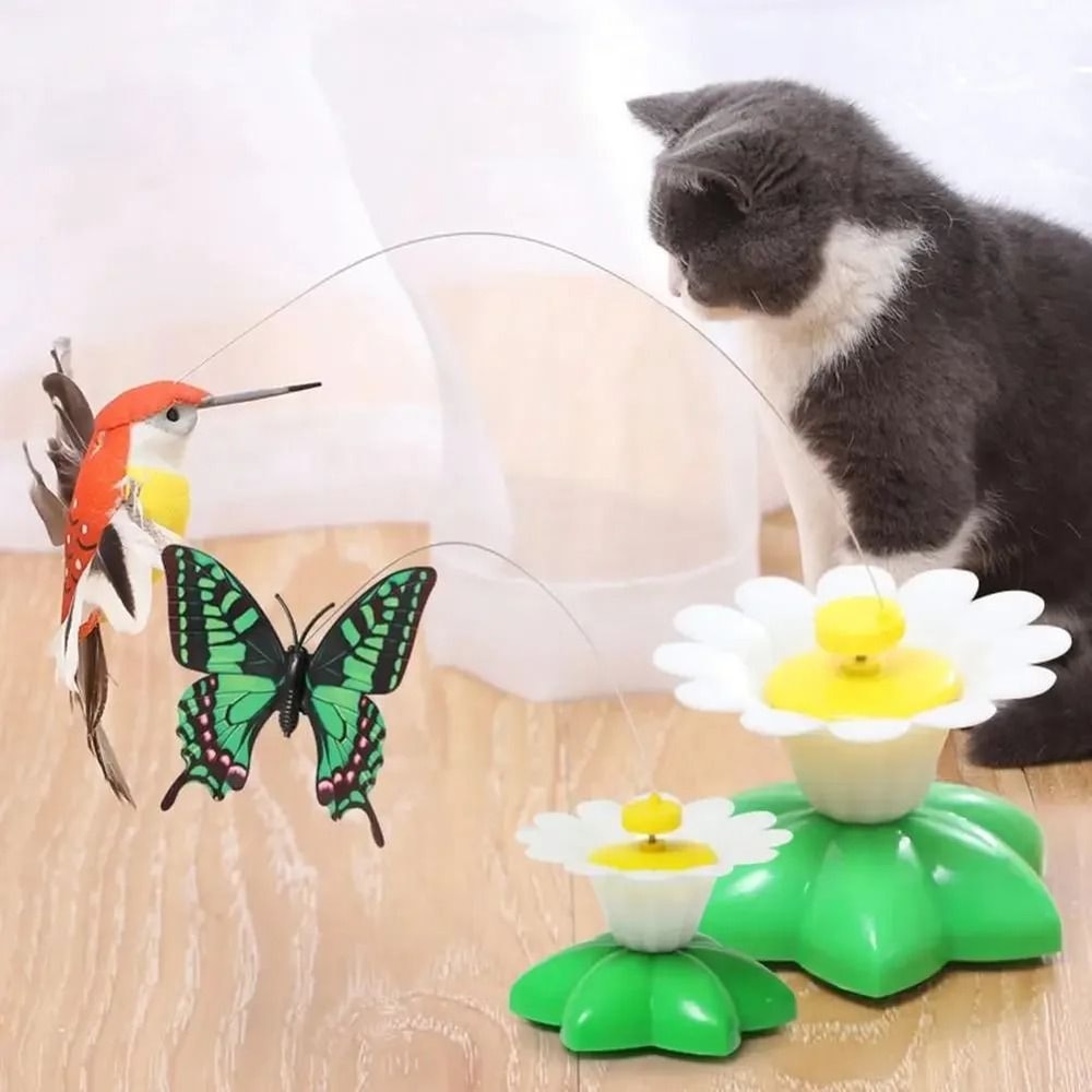 Interactive Electric Butterfly Cat Toy With Rotating Flying Hummingbird Automatic Motion Training 2