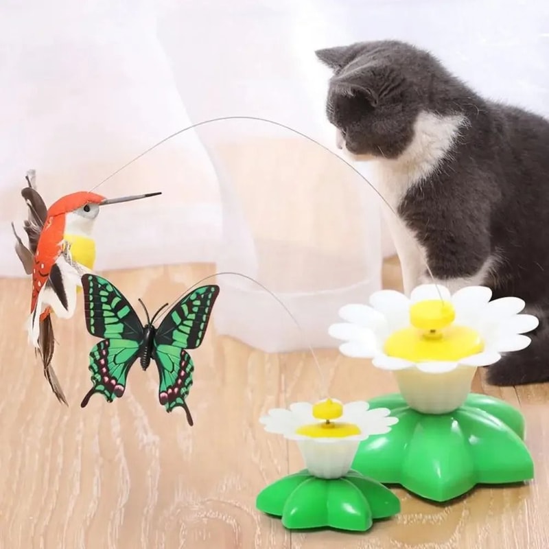 Interactive Electric Butterfly Cat Toy With Rotating Flying Hummingbird Automatic Motion Training 2