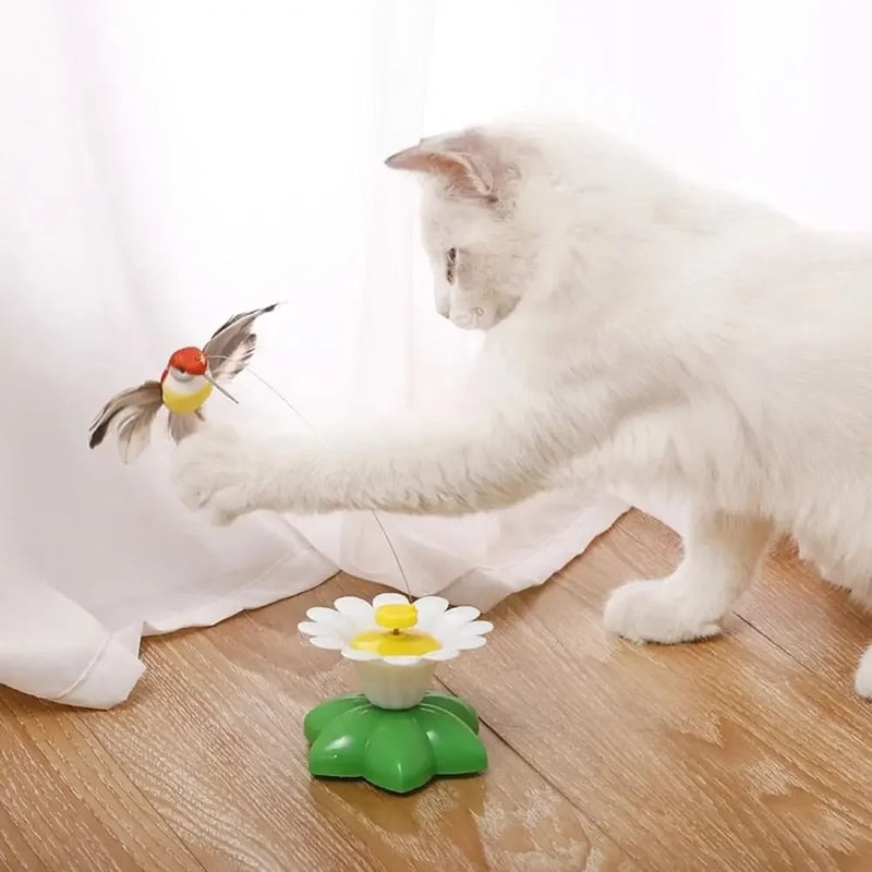 Interactive Electric Butterfly Cat Toy With Rotating Flying Hummingbird Automatic Motion Training 3