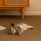 Large Cat Scratching Mat Carpet Sofa Protector Non Slip Anti Scratch Furniture Pad 4