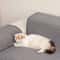 Large Cat Scratching Mat Carpet Sofa Protector Non Slip Anti Scratch Furniture Pad 6