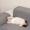 Large Cat Scratching Mat Carpet Sofa Protector Non Slip Anti Scratch Furniture Pad 6