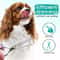 Professional Pet Grooming Scissors Set 5 In 1 Stainless Steel Dog Cat Hair Cutting Kit 3