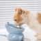 Elevated Ceramic Cat Bowl With Stand Diagonal Neck Protection Feeding Bowl For Cats Small Dogs 2