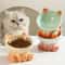 Elevated Ceramic Cat Bowl With Stand Diagonal Neck Protection Feeding Bowl For Cats Small Dogs 4