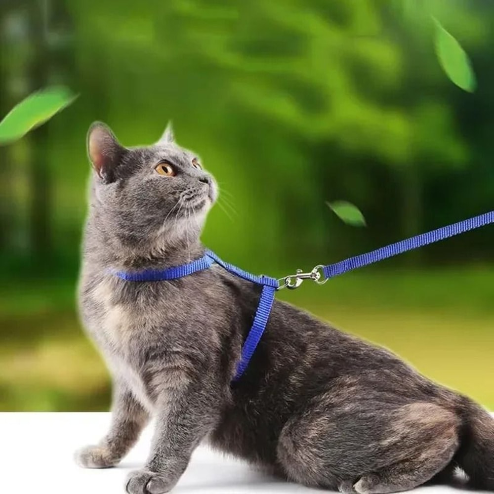 Escape Proof Puppy Harness Leash Set Soft No Pull H Style Harness For Small Dogs Cats 0