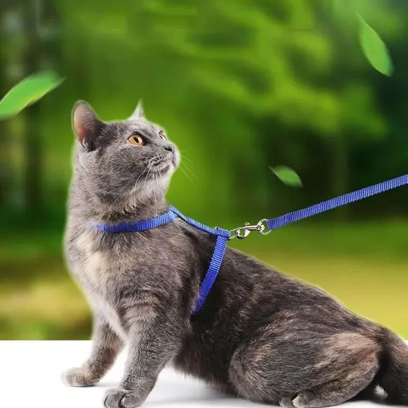 Escape Proof Puppy Harness Leash Set Soft No Pull H Style Harness For Small Dogs Cats 0