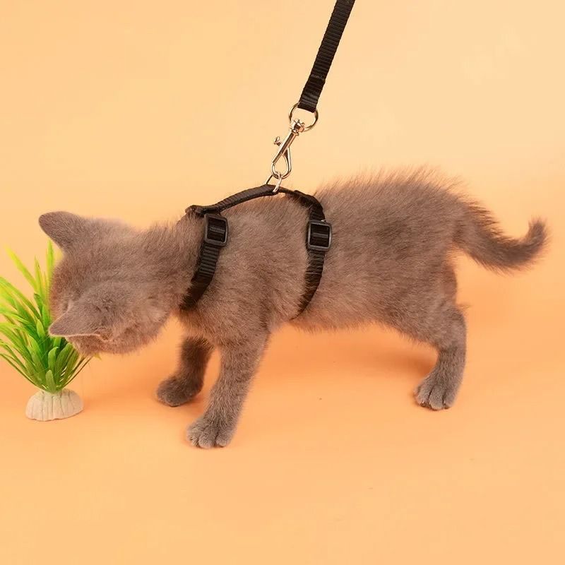 Escape Proof Puppy Harness Leash Set Soft No Pull H Style Harness For Small Dogs Cats 2