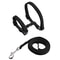 Escape Proof Puppy Harness Leash Set Soft No Pull H Style Harness For Small Dogs Cats 10