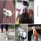 Escape Proof Puppy Harness Leash Set Soft No Pull H Style Harness For Small Dogs Cats 4