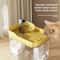 Transparent USB Cat Water Fountain With Auto Filter Anti Dry Protection Quiet Recirculating Pet W 1