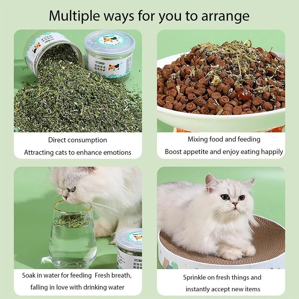 Organic Natural Catnip Toy With Mint Flavor Interactive Cat Grass Treat For Cats Kittens 3