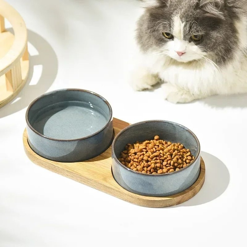 Elevated Ceramic Cat Food Water Bowl AntiTip Neck Protection Feeder For Cats Small Dogs 4