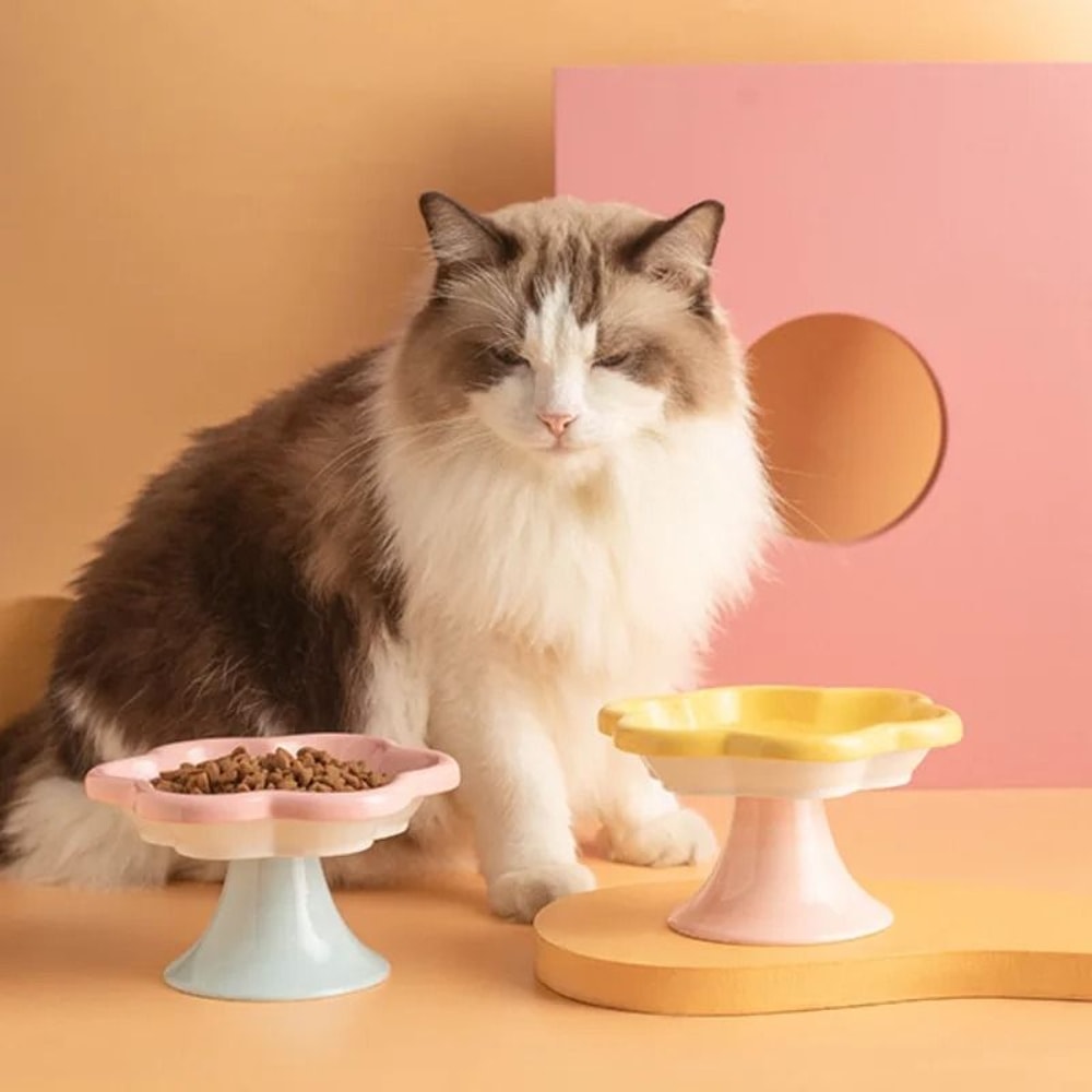 Flower Elevated Ceramic Cat Bowl For Comfortable Feeding 2