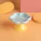 Flower Elevated Ceramic Cat Bowl For Comfortable Feeding 7