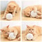Silent Wool Ball Cat Toy Set With Teaser Stick For Self Play Boredom Relief Teeth Grinding And Chas 5