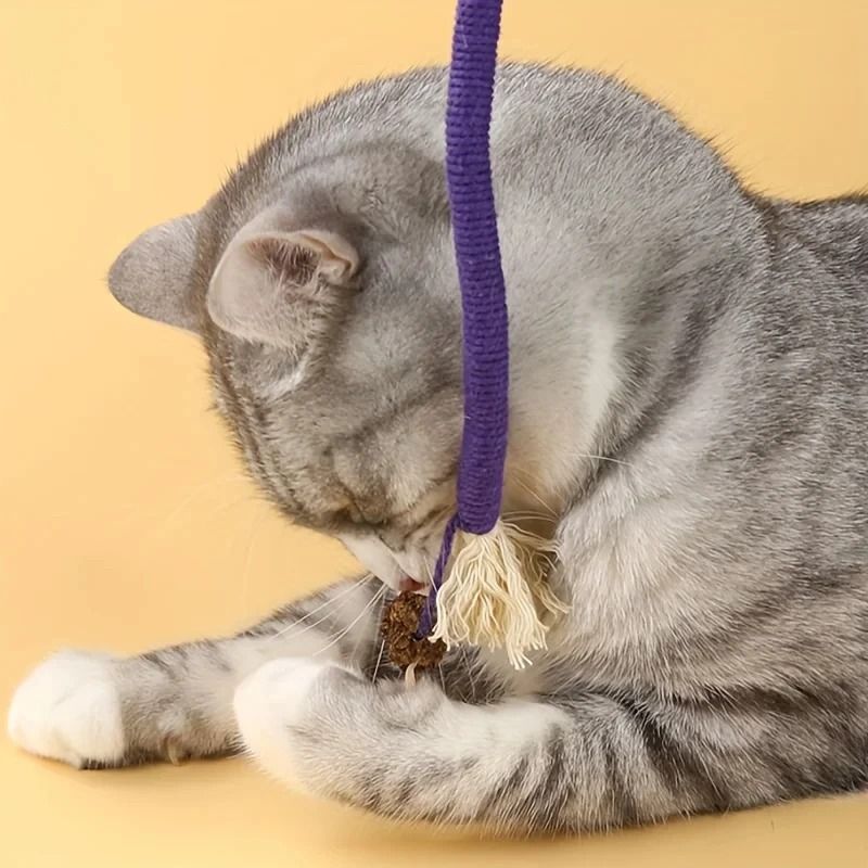 Silvervine Cat Teaser Rope Toy For Dental Chewing Interactive Play 5