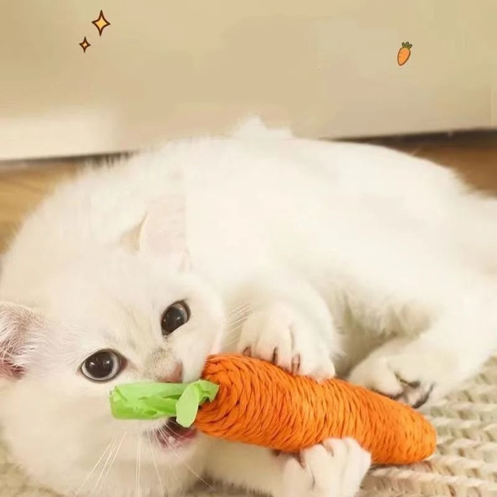 Interactive Carrot Cat Teething Stick With Sound Scratchable Chew Toy 1