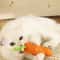 Interactive Carrot Cat Teething Stick With Sound Scratchable Chew Toy 1