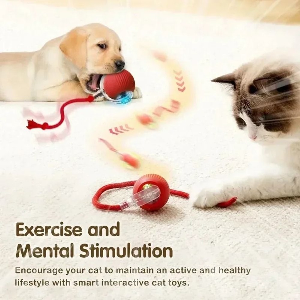 Rechargeable Smart Rolling Cat Ball With Moving Tail Interactive Toy 3