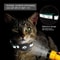 AirTag Cat Collar With Safety Breakaway Buckle Protective Tracker Holder 4