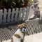Garden Pet Deterrent Spike Mat For Cats Dogs Digging Protection 6
