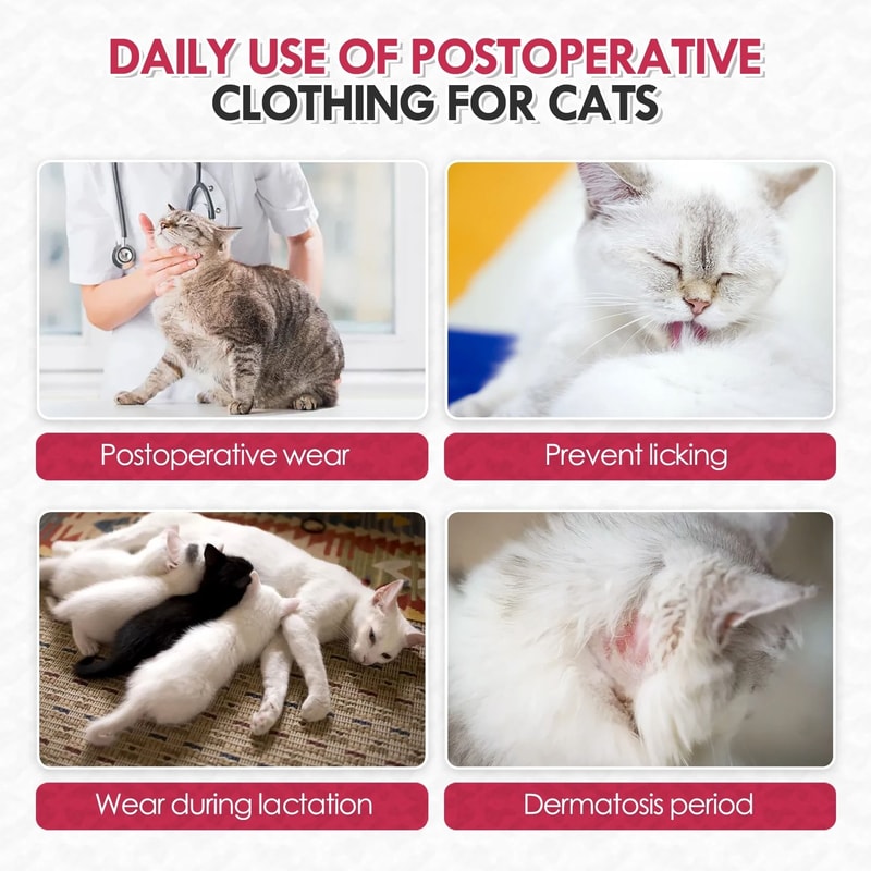 Breathable Female Cat Recovery Suit For PostSurgery Healing Wound Protection 4