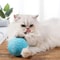 Interactive Sisal Cat Scratching Ball For Dental Care Play 6