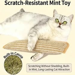 interactive catnip scratcher pillow toy for claw care & playtime fun