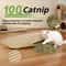 Interactive Catnip Scratcher Pillow Toy For Claw Care Playtime Fun 2