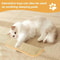 Interactive Catnip Scratcher Pillow Toy For Claw Care Playtime Fun 3
