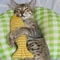 Interactive Plush Fish Cat Kicker Toy For Indoor Cats 4