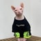 Sphynx Devon Rex Winter Cotton Sweatshirt For Cats Soft Sphynx Cat Clothing Warm Long Sleeve Pet 1