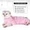 ComfortGuard Cat Recovery Suit For PostSurgery Healing AntiLicking Protection 4