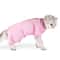 ComfortGuard Cat Recovery Suit For PostSurgery Healing AntiLicking Protection 6