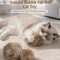 3PCS Interactive Catnip Toy Balls Rabbit Fur Plush Chasing Toys For Active Indoor Cats 1
