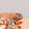 BounceBlast Interactive Cat Toy Launcher With Plush HighBounce Balls 4