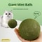 PurrMint Natural Catnip Lick Ball Long Lasting Calming Chew Toy For Cats 4