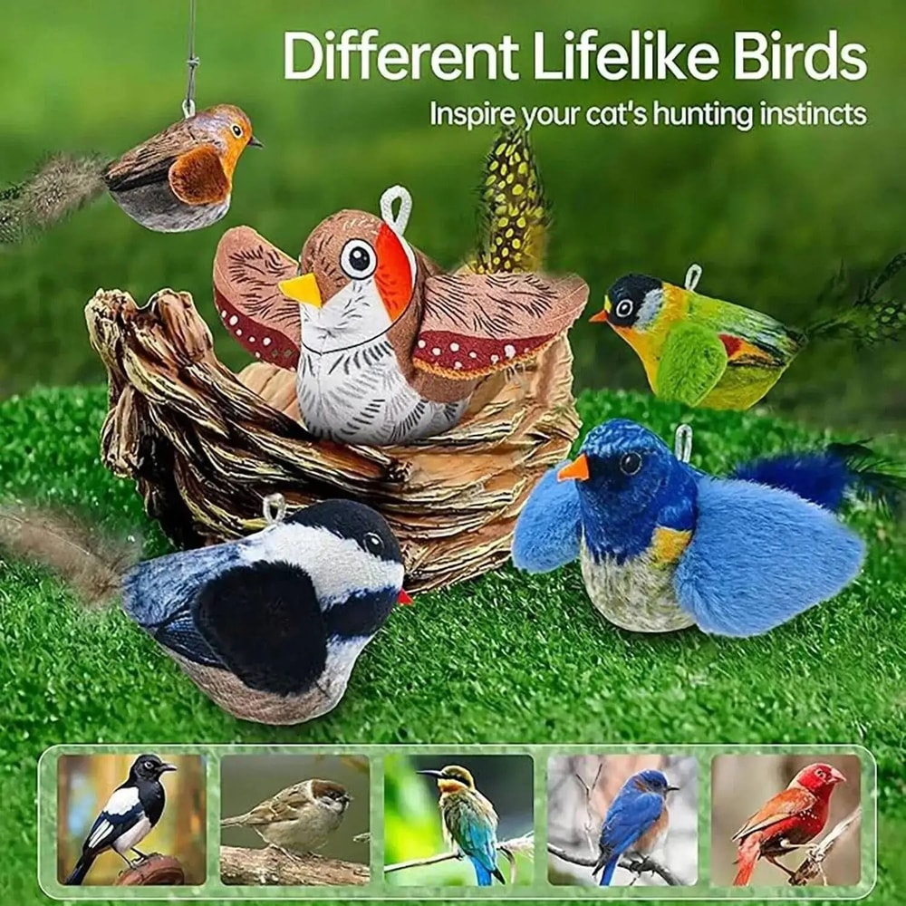 Interactive Bird Cat Toy With Sound Catnip Wall Hanging Chasing Toy For Indoor Cats 4