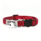 SparkleSafe Personalized Glitter Cat Collar With Custom Engraved ID Tag Breakaway Buckle 2